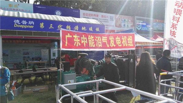广州种猪拍卖会